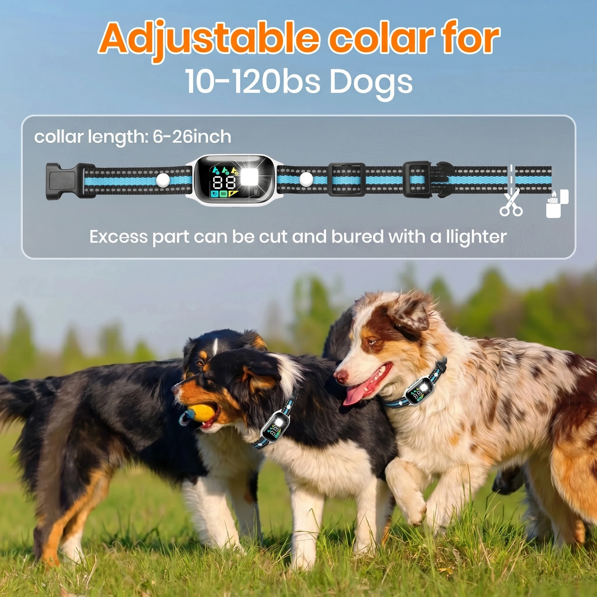 Detalles del collar de adiestramiento canino