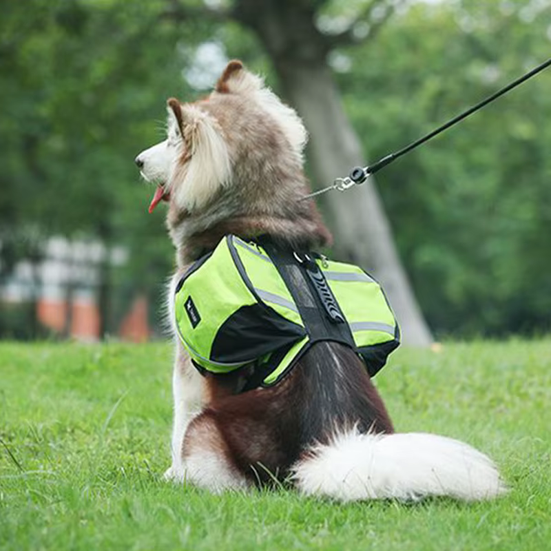 Mochila Transportadora para Perros Grandes con Arnés Integrado - imagen 3