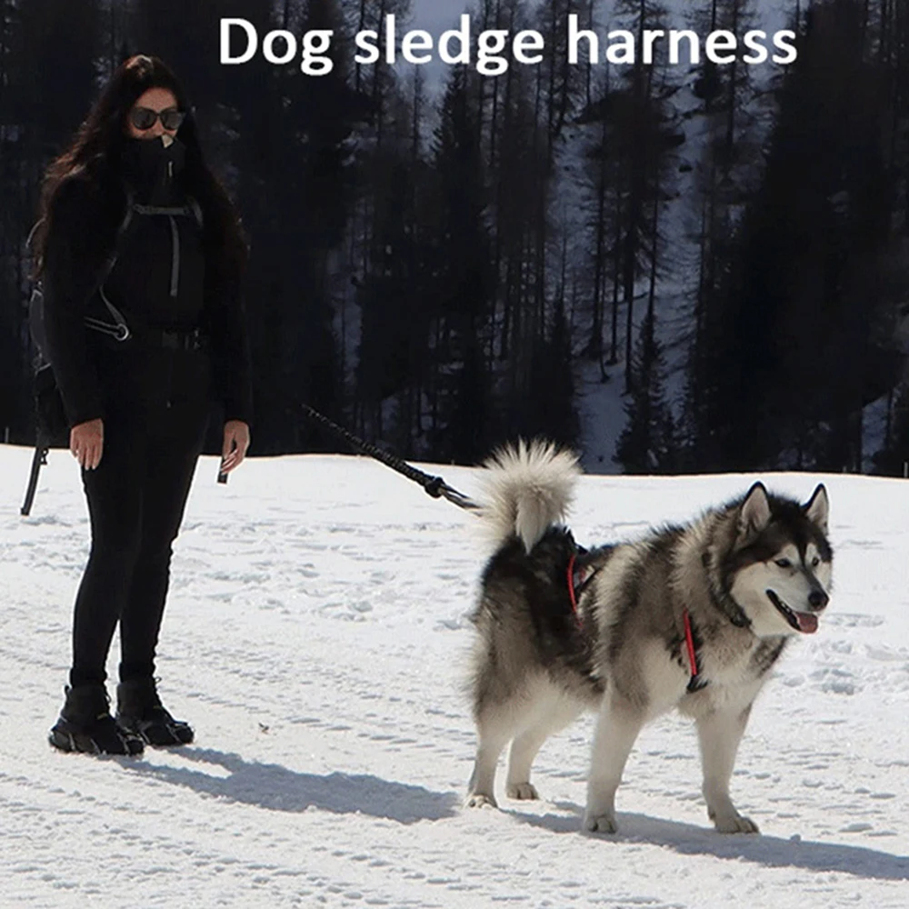 Arnés resistente para tirar, perros medianos y grandes – Husky - imagen 5