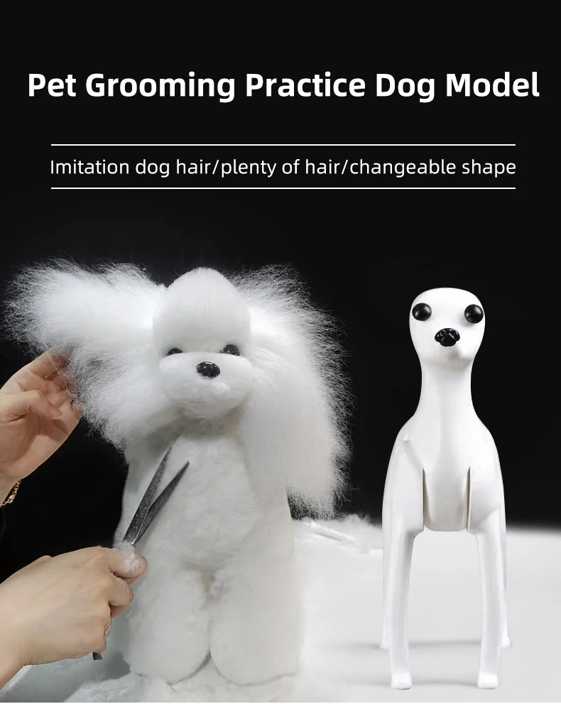 Modelo de entrenamiento Bichón para peluquería canina