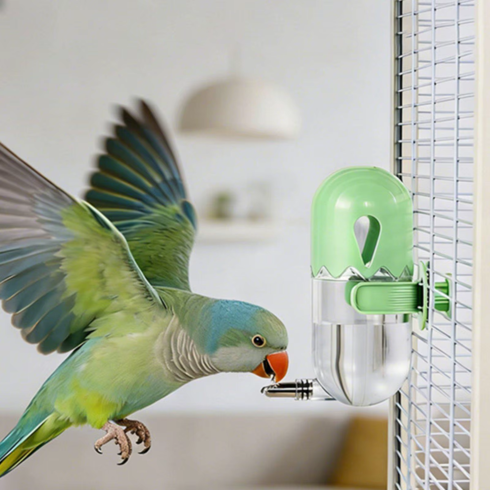 Bebedero automático antiderrames para loros y pájaros - imagen 2