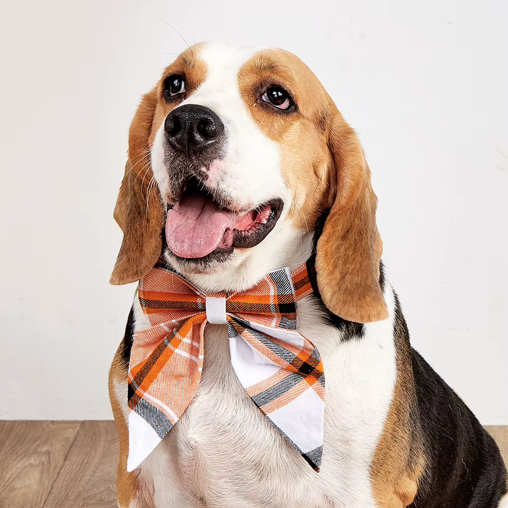 Collar de Algodón con Lazo para Perros y Gatos – Ajustable - imagen 3