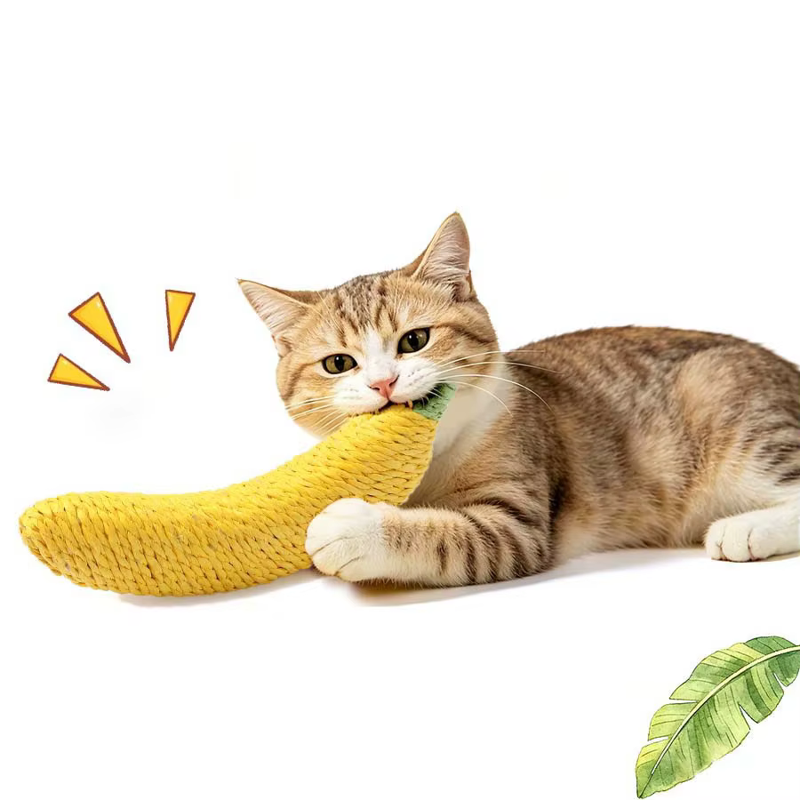 Juguete de sisal interactivo para gatos: rascador y mordedor - imagen 3