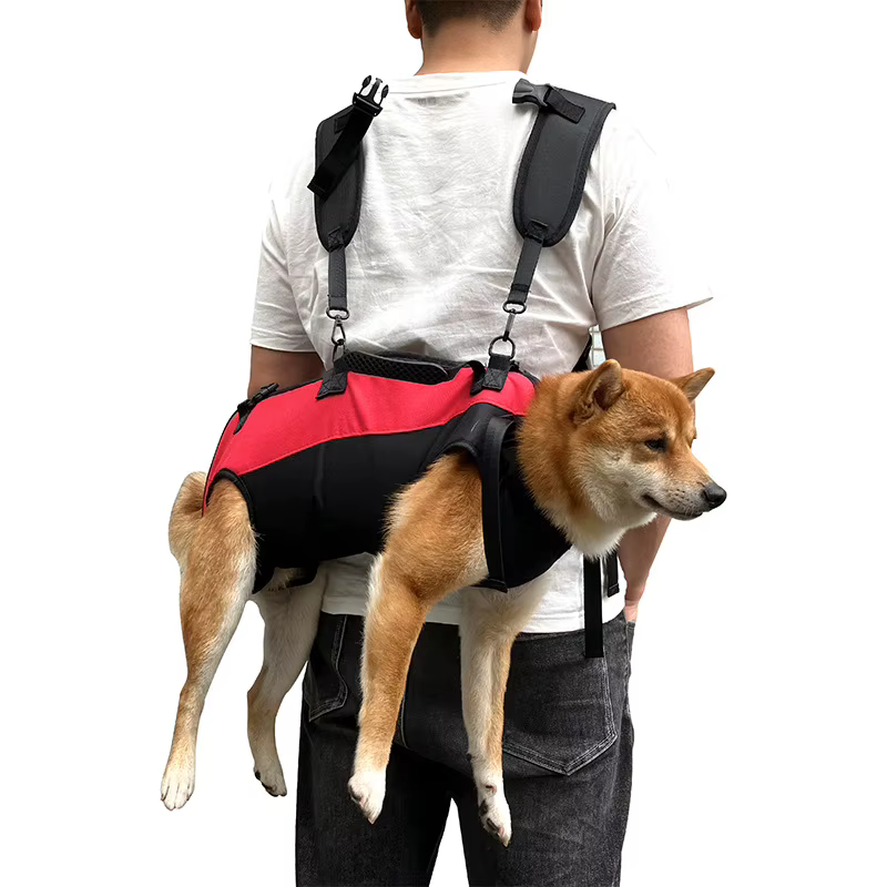 Mochila Bicicleta Perro Transpirable con Arnés Ajustable - imagen 3