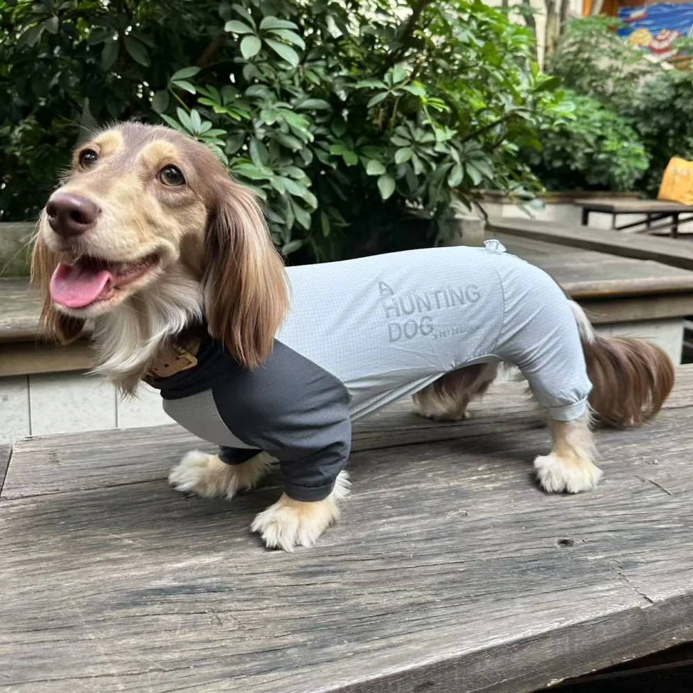 Traje anti-insectos transpirable para Dachshund, verano secado rápido - imagen 4