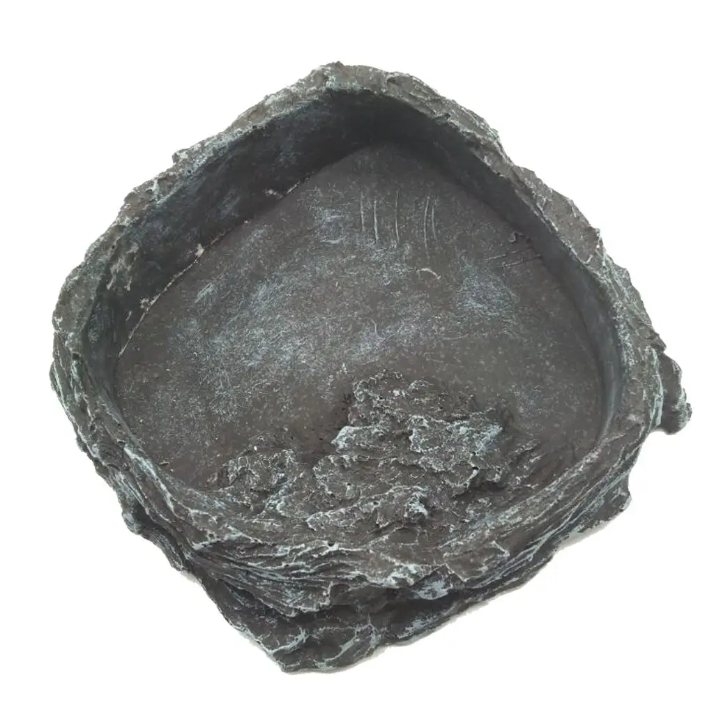 Plato circular para tortugas