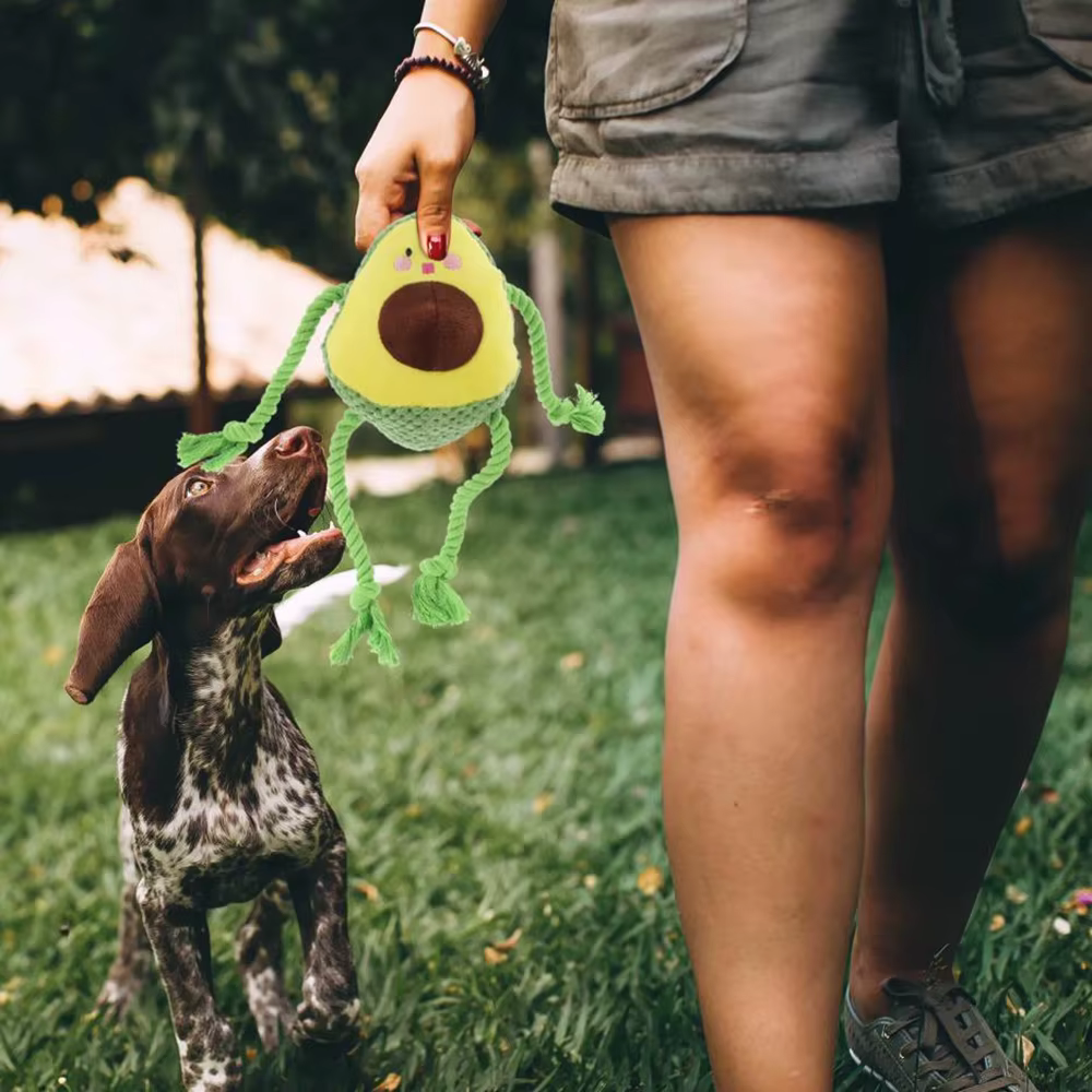 Juguete interactivo para gatos y perros: pulpo aguacate con sonido - imagen 5
