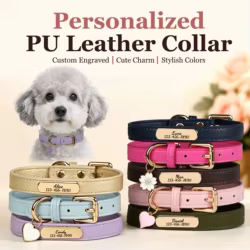 Collar personalizado de cuero suave con placa para perros y gatos