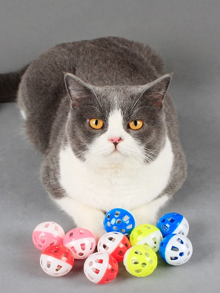 Gato jugando con pelota sonora multicolores