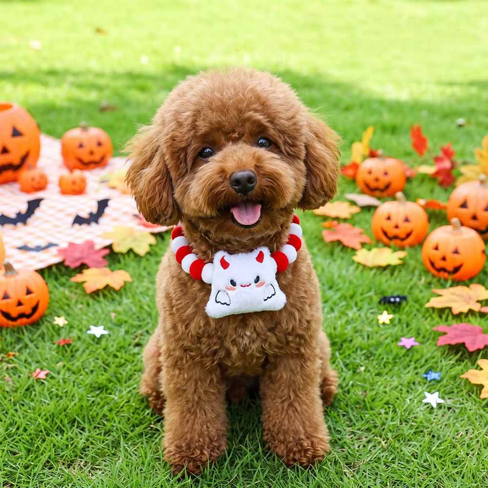 Collares de Halloween con Pompones para Gatitos y Cachorros Pequeños - imagen 4