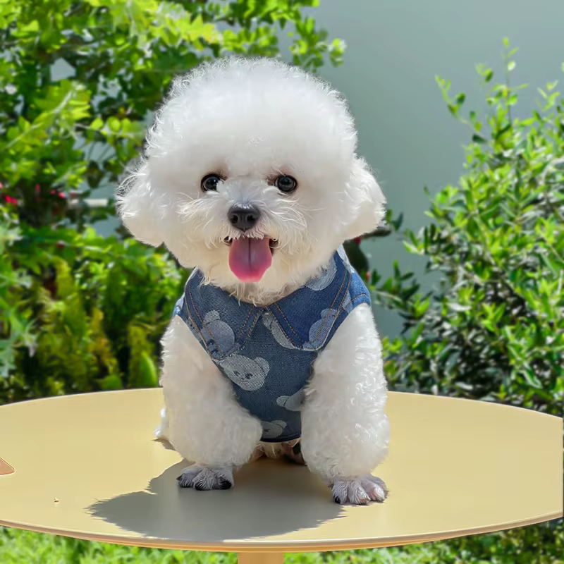 Conjunto arnés y correa mezclilla oso para perros pequeños y gatos - imagen 2