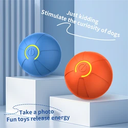 Pelota eléctrica inteligente rebotadora para perros y gatos