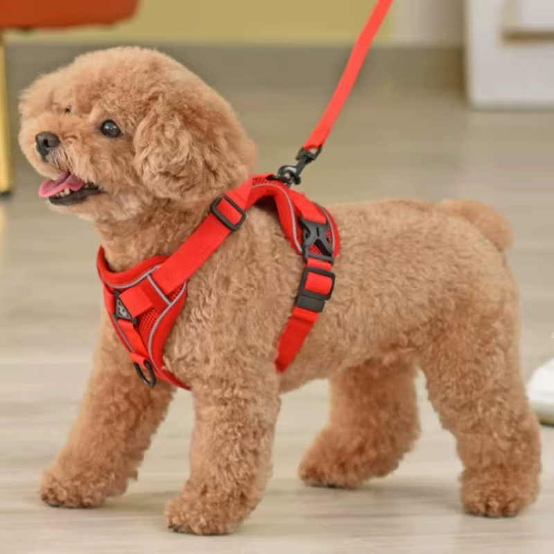 Arnés chaleco transpirable reflectante con correa para perros y gatos