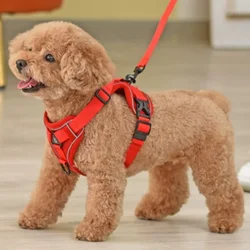 Arnés chaleco transpirable reflectante con correa para perros y gatos