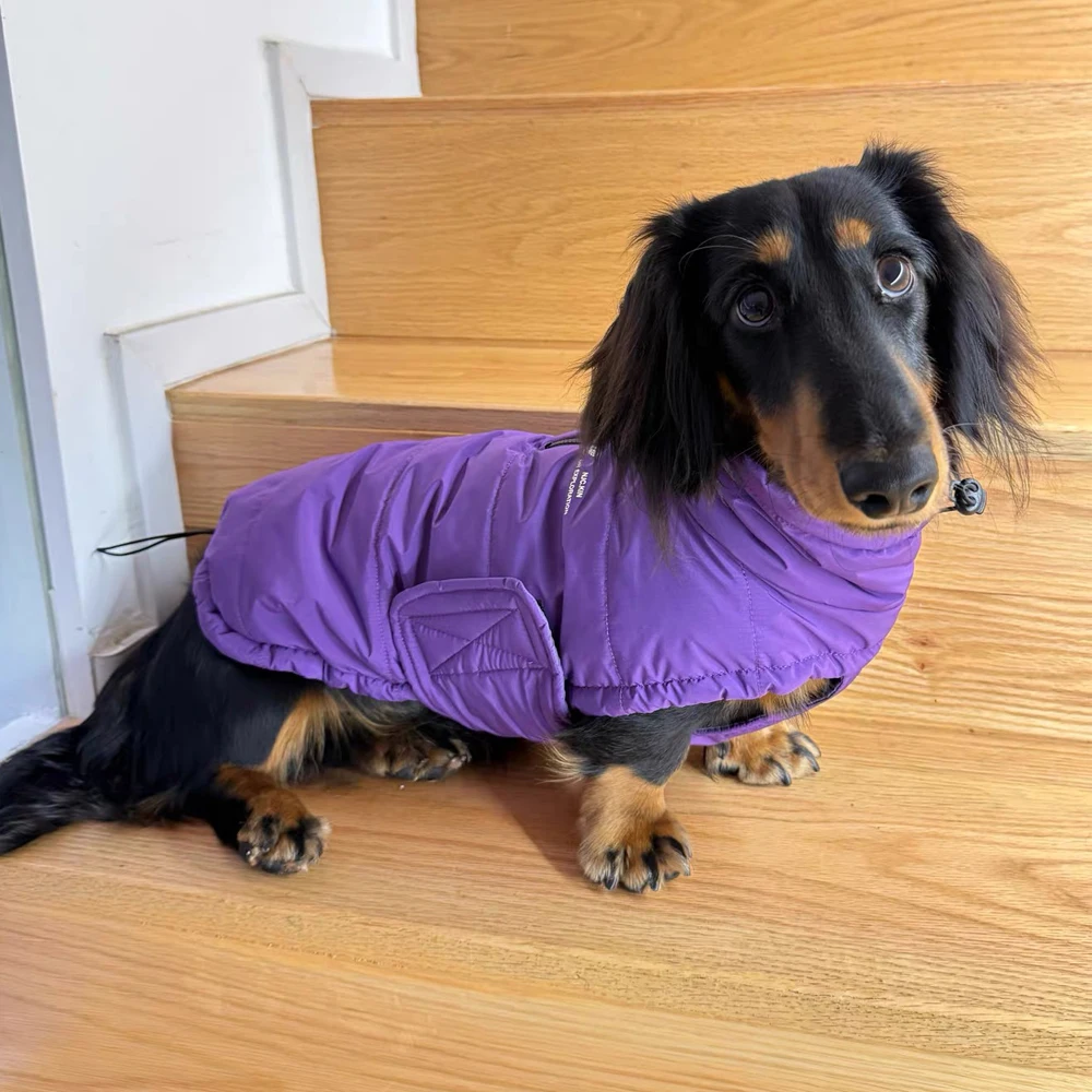 Chaqueta de plumón impermeable desmontable para teckel - imagen 4