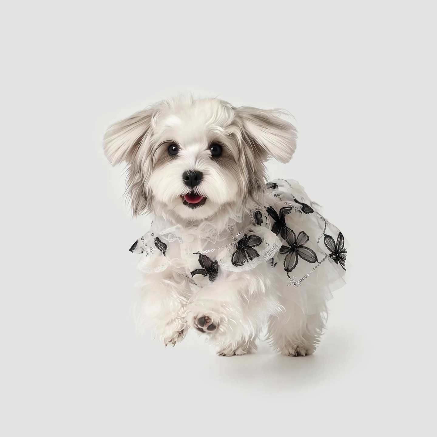 Ropa de malla bordada para perros pequeños
