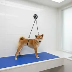 Cuerda de sujeción para perros peluquería, con ventosa antideslizante