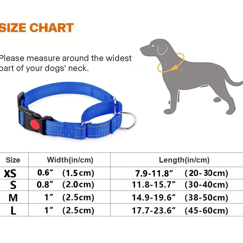 Collar Martingale Reflectante para Perro – Antitirones y Antiestrangulamiento