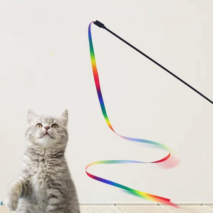 Gato jugando con varita interactiva
