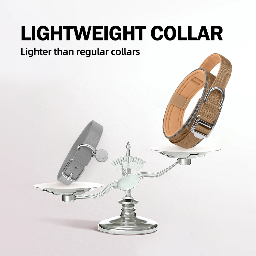Collar reflectante en uso con perro Husky