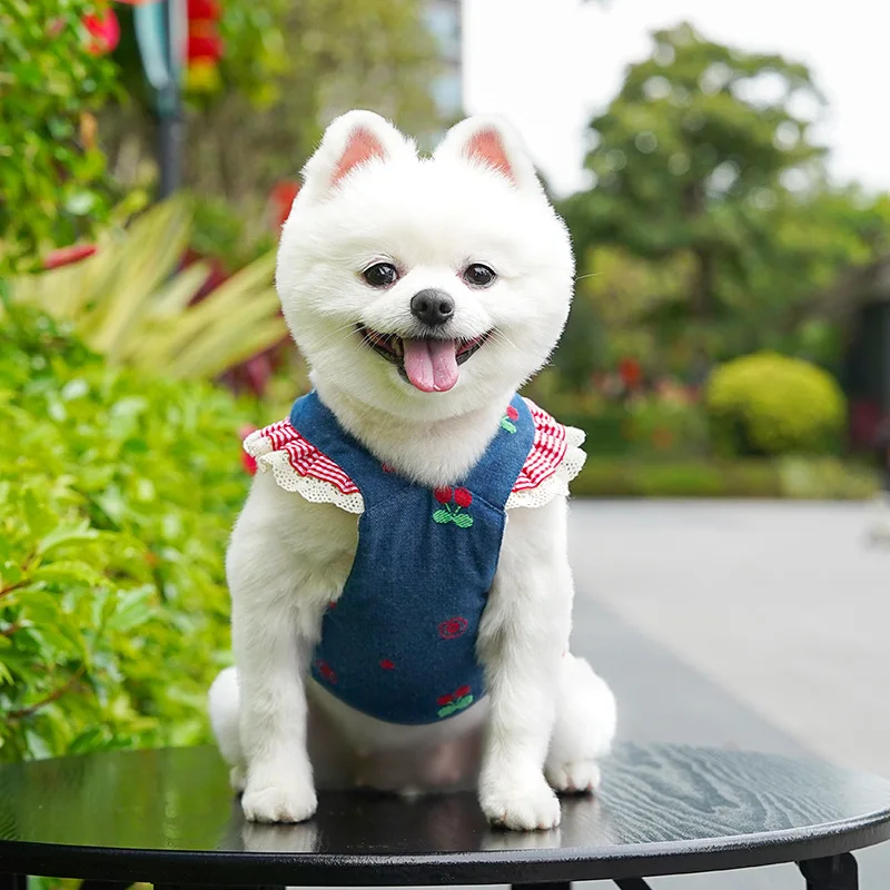 Conjunto listo para salir