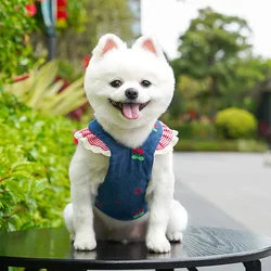 Vestido arnés vaquero con correa para perros pequeños y gatos