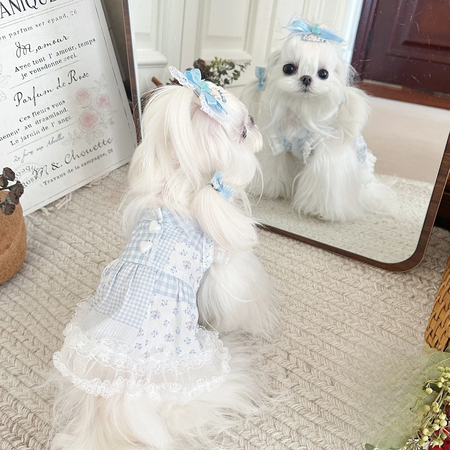 Vistazo frontal del vestido con encaje y mangas volantes