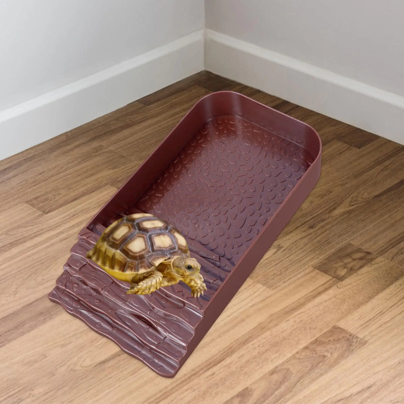 Plato de comida para tortuga con rampa lateral