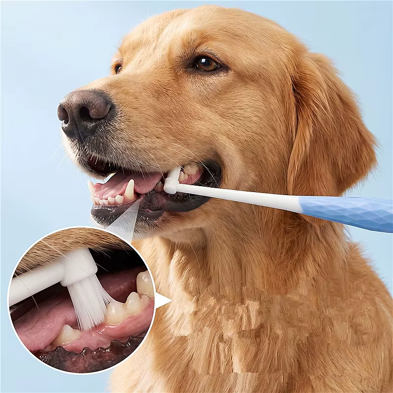 Cepillo de dientes para mascotas: suave para perros y gatos diario - imagen 2