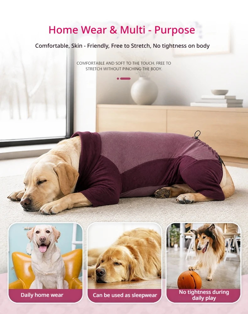 Vista trasera de la ropa de invierno para perro
