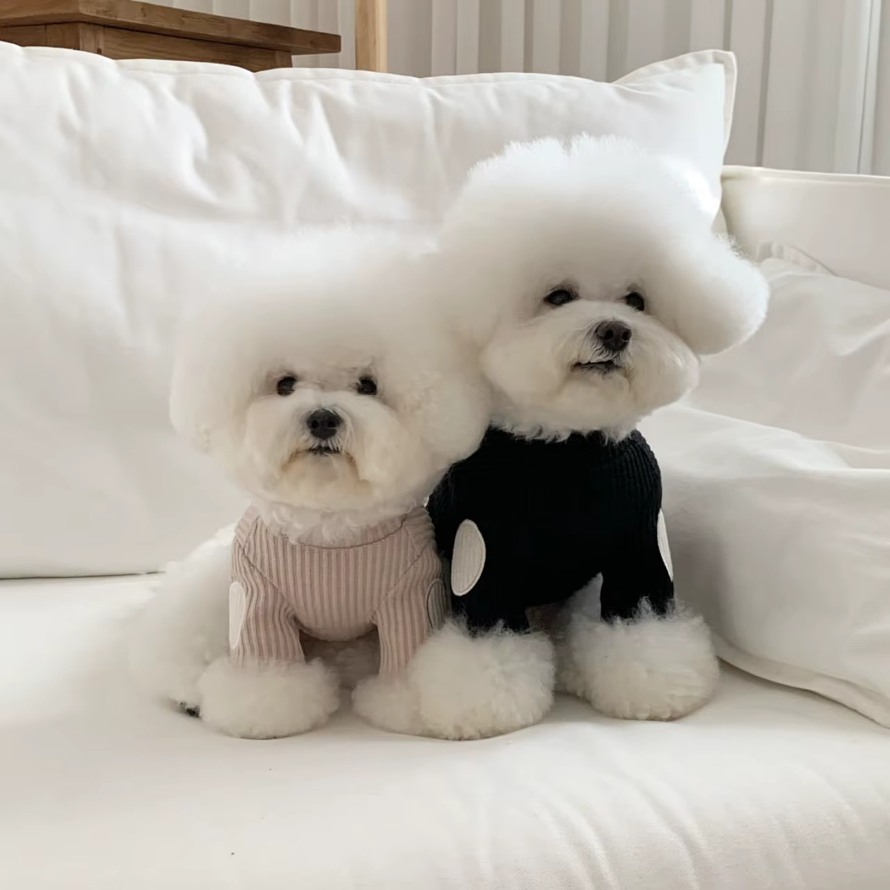 Abrigo de Punto con Bordado para Perros Pequeños – Ropa de Invierno - imagen 2