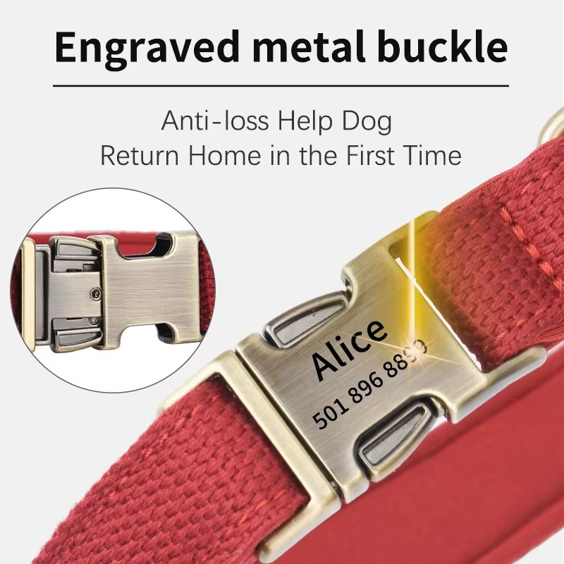 Collar personalizado con correa ajustable para perro, cachorro y gato