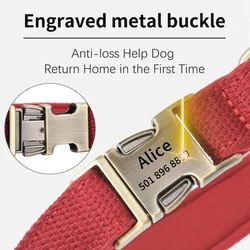 Collar personalizado con correa ajustable para perro, cachorro y gato