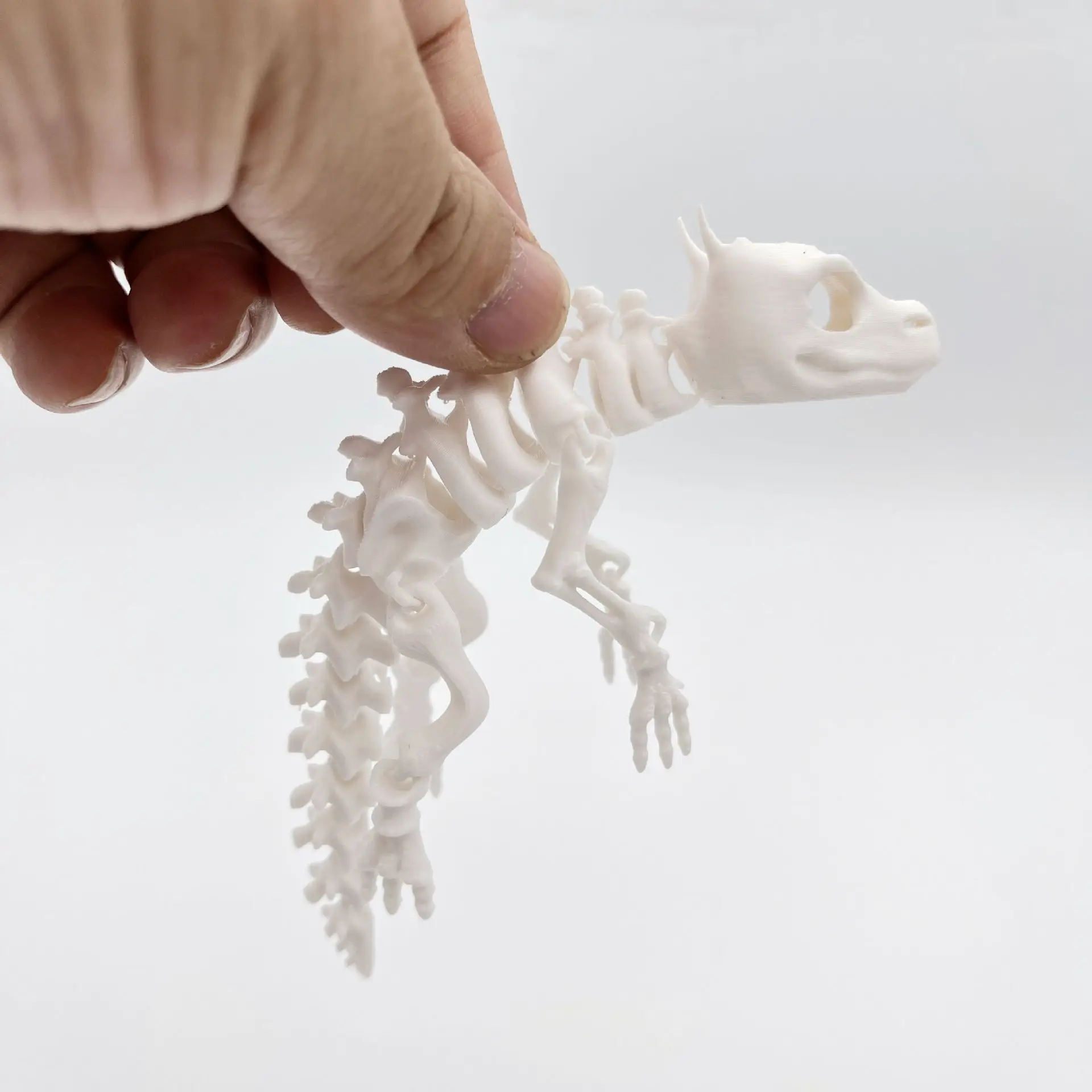 Figura de lagarto esqueleto – vista superior