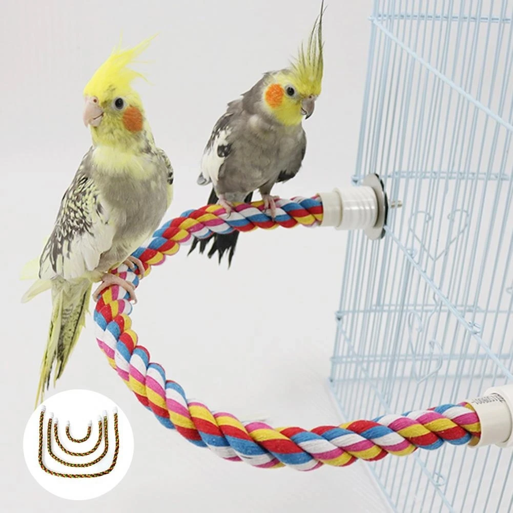 Pájaro jugando con el juguete