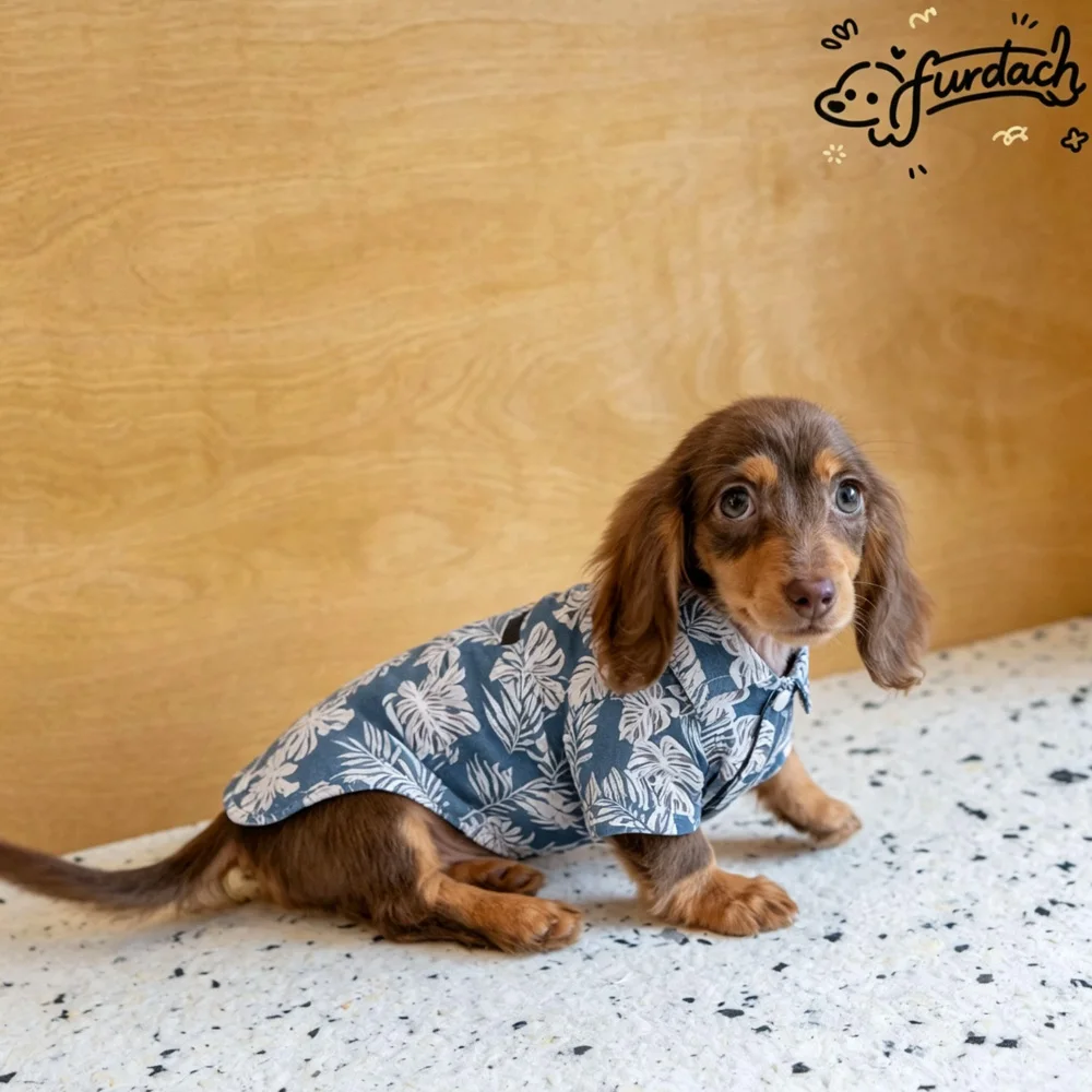 Ropa para perros Dachshund: camisa algodón vacacional con hojas - imagen 2