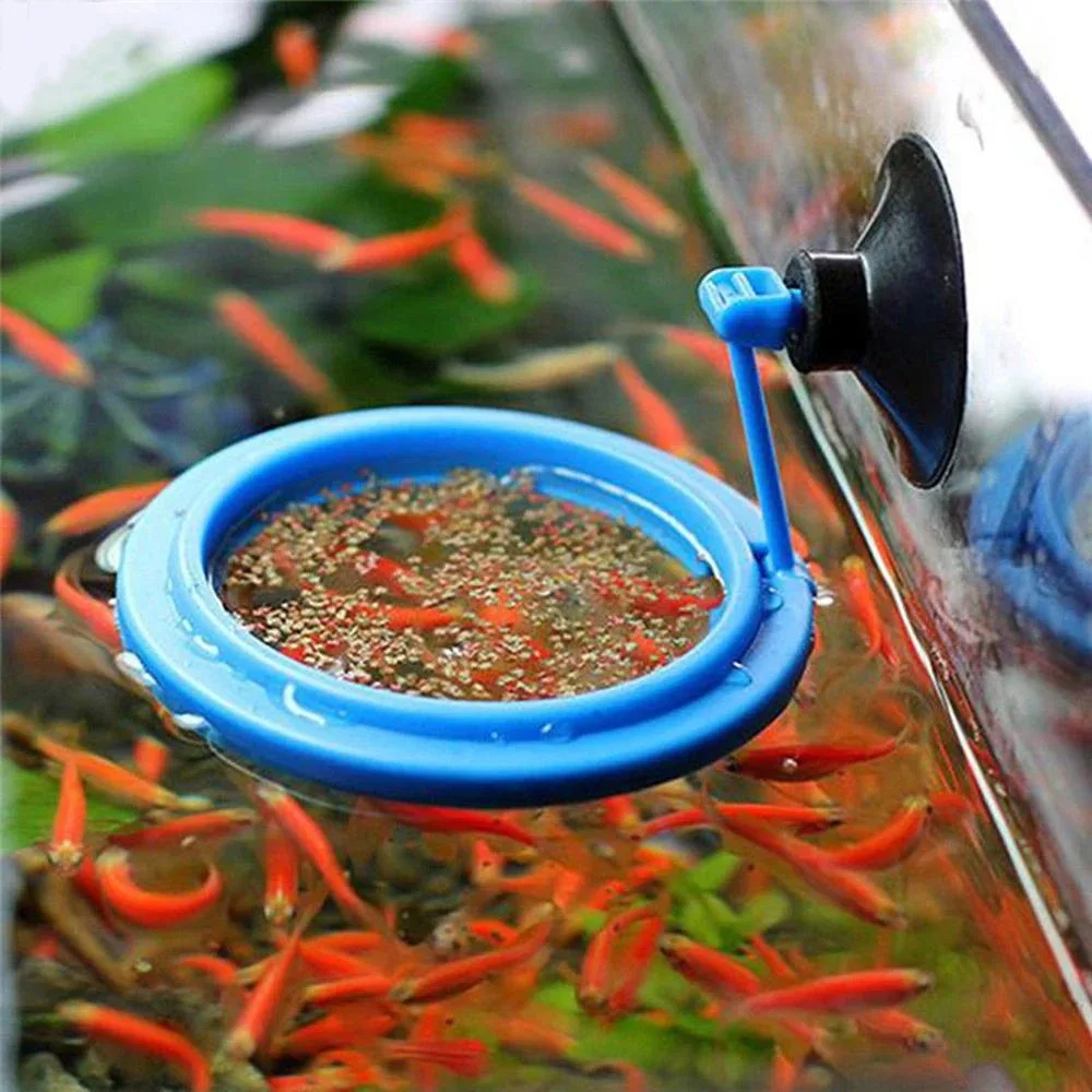 Alimentador flotante para acuario, bandeja circular o cuadrada - imagen 4