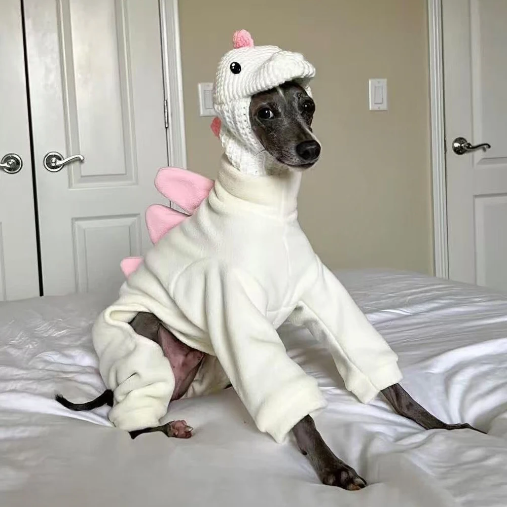 Perro pequeño levando la ropa de dinosaurio