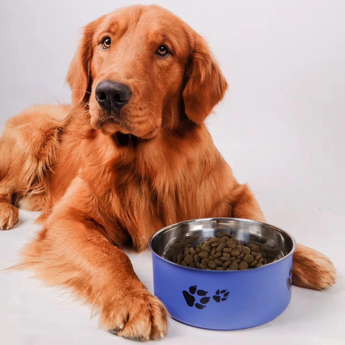 Tazón para perros de acero inoxidable con huella de dibujos - imagen 3