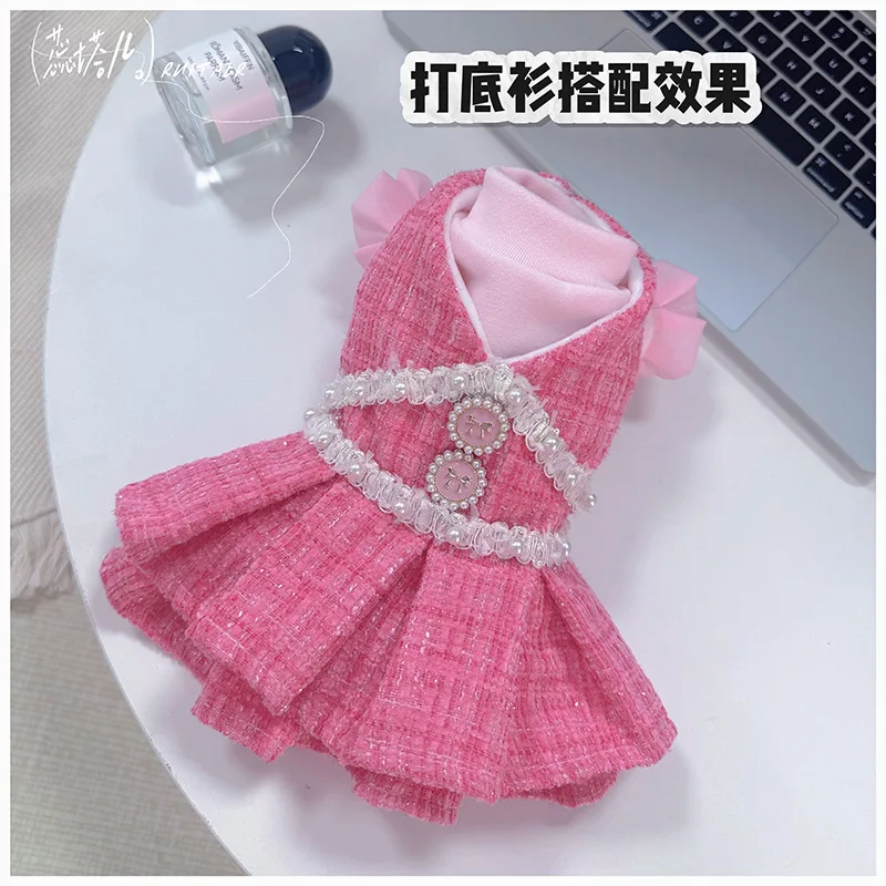 Perro con vestido de princesa rosa en contexto de uso diario