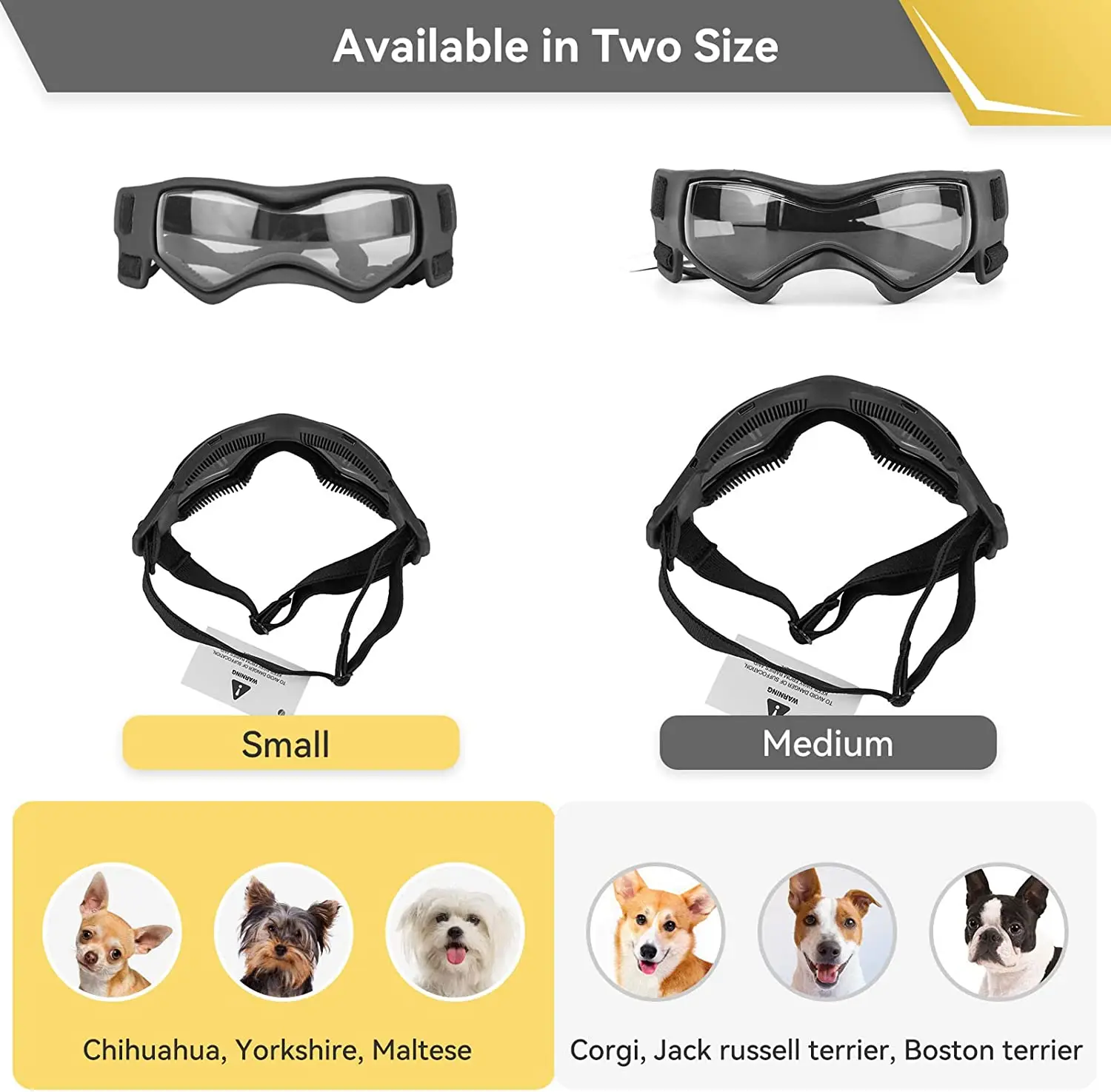 Gafas de sol ATUBAN en un perro pequeño