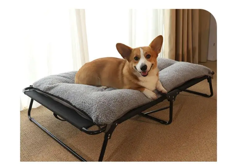 Perro grande descansando cómodamente en la cama plegable