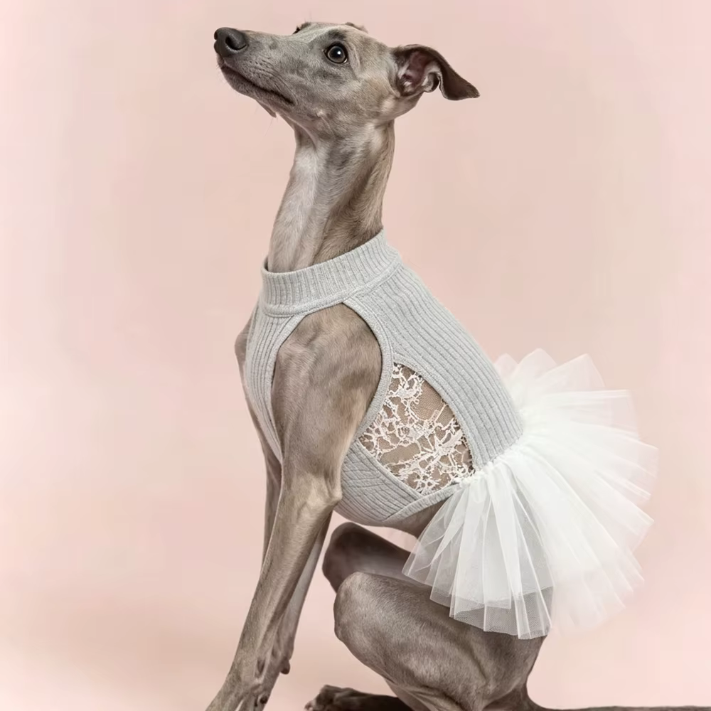 Vestido de ballet para Whippet y Bedlington, falda encaje sin mangas - imagen 3