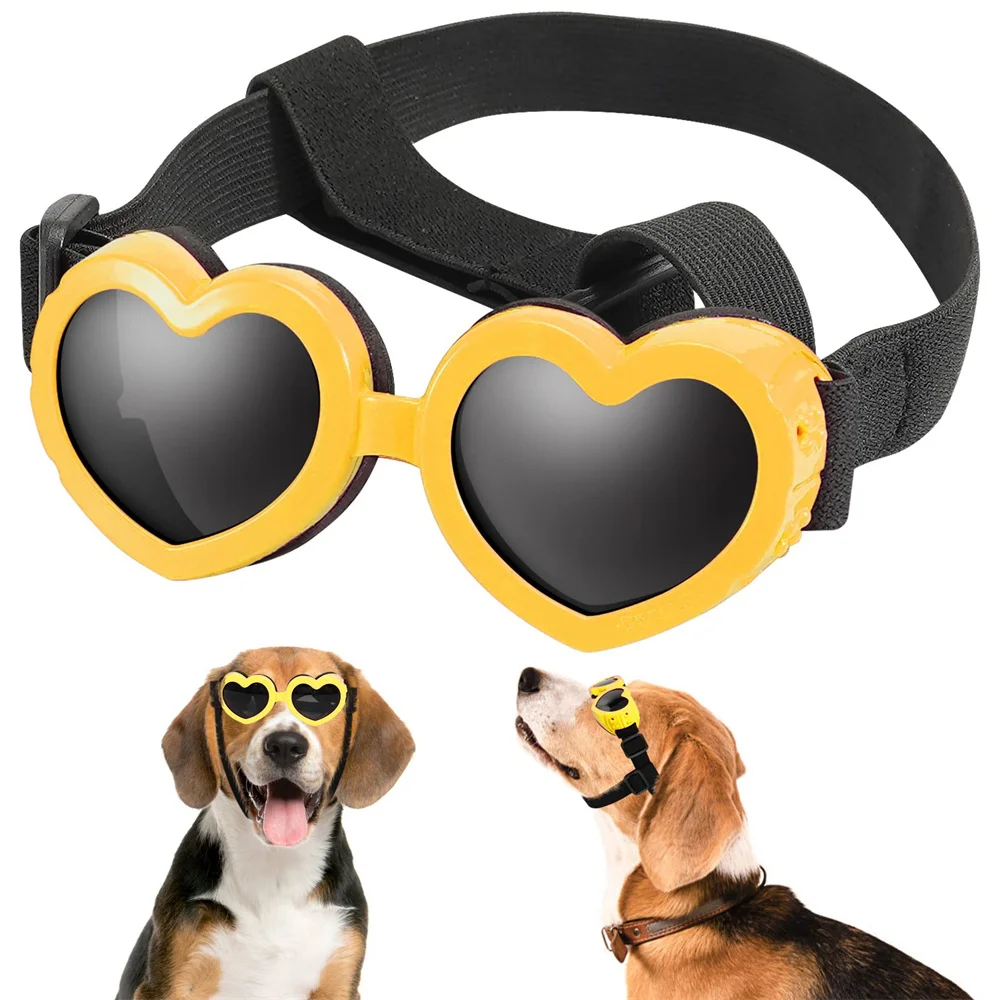 Gafas para gatos pequeños en color negro