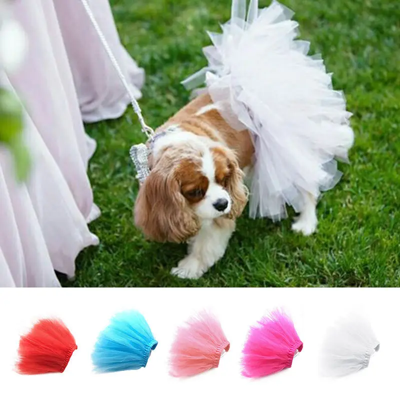 Tallas de la falda tutú para perros pequeños