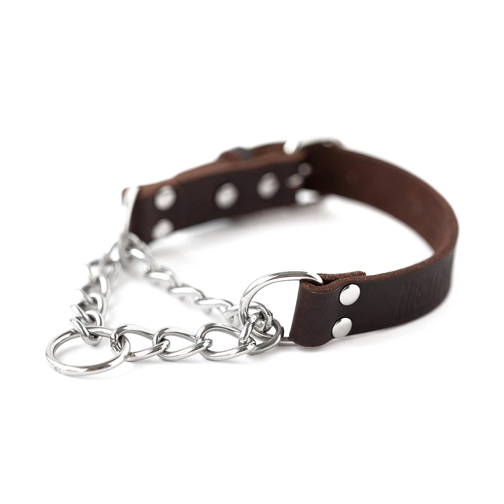 Collar martingale en uso con perro