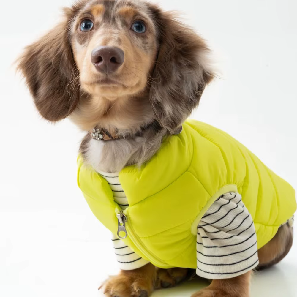 Chaqueta de invierno ligera para perros Dachshund, cortavientos cálido - imagen 2