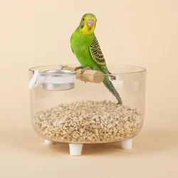 Percha para afilado de uñas y adiestramiento de periquitos