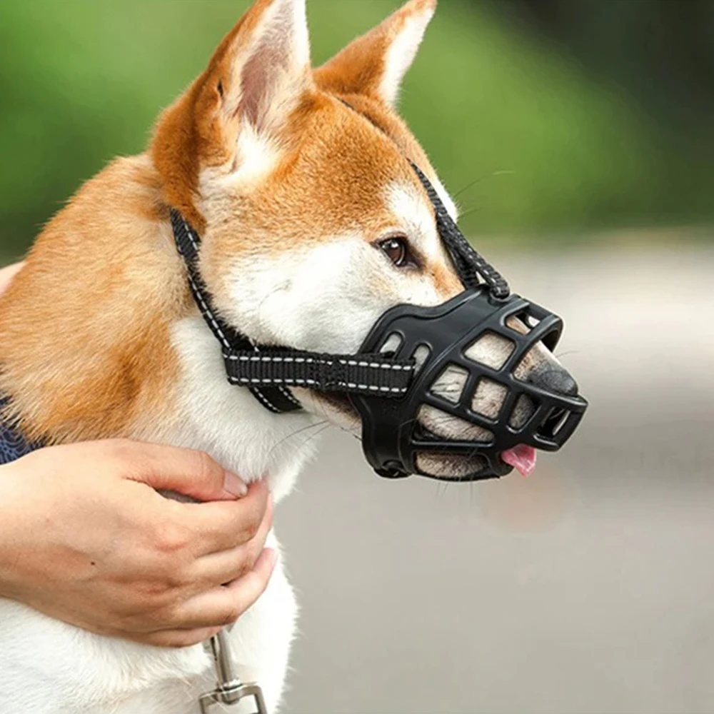 Perro usando bozal transpirable en parque