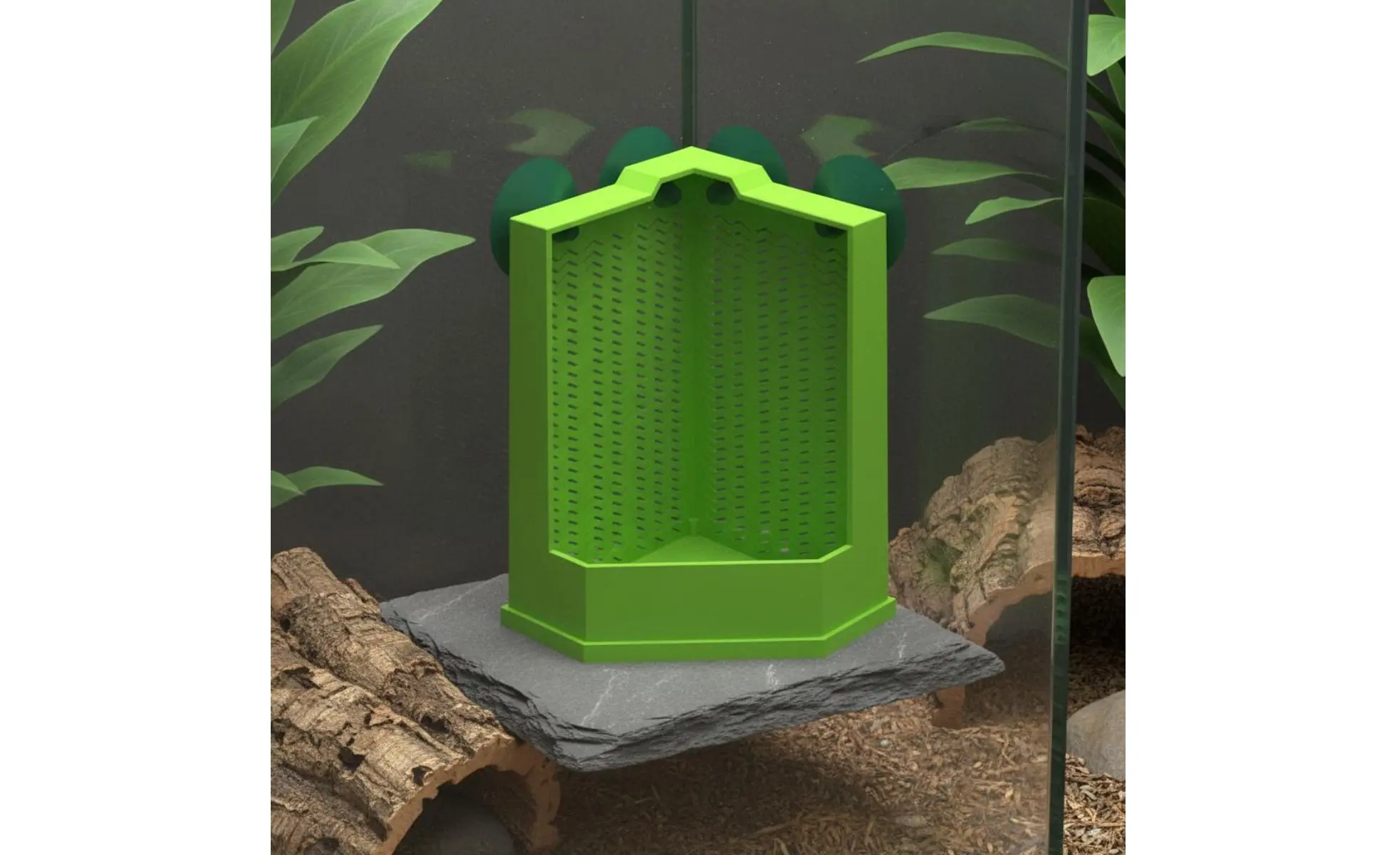 Comedero con ventosa para colocación en terrario